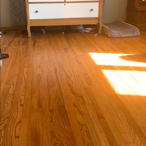 Meet your Posher, Lily